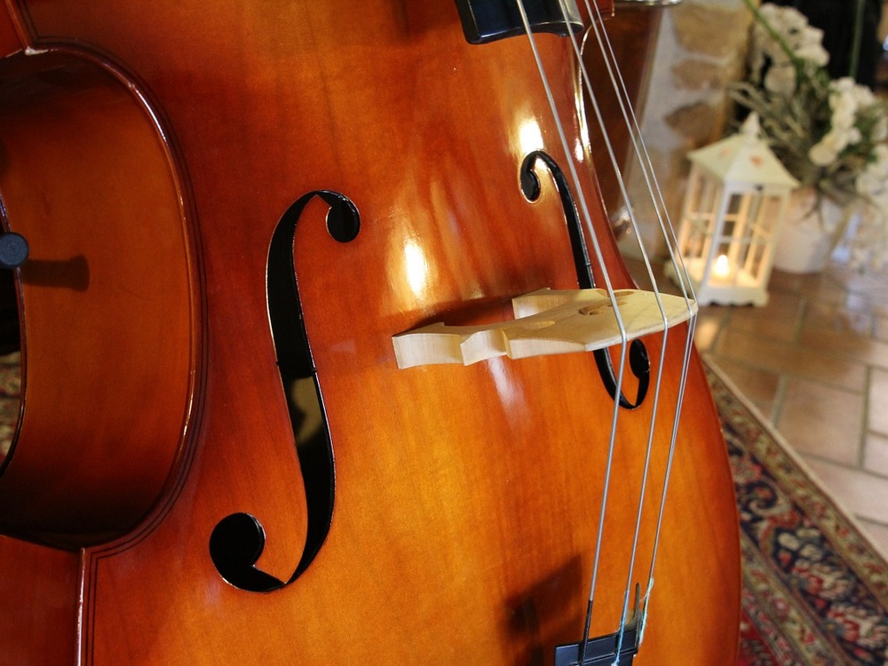 "Paganini al contrabasului", celebrat la Sibiu